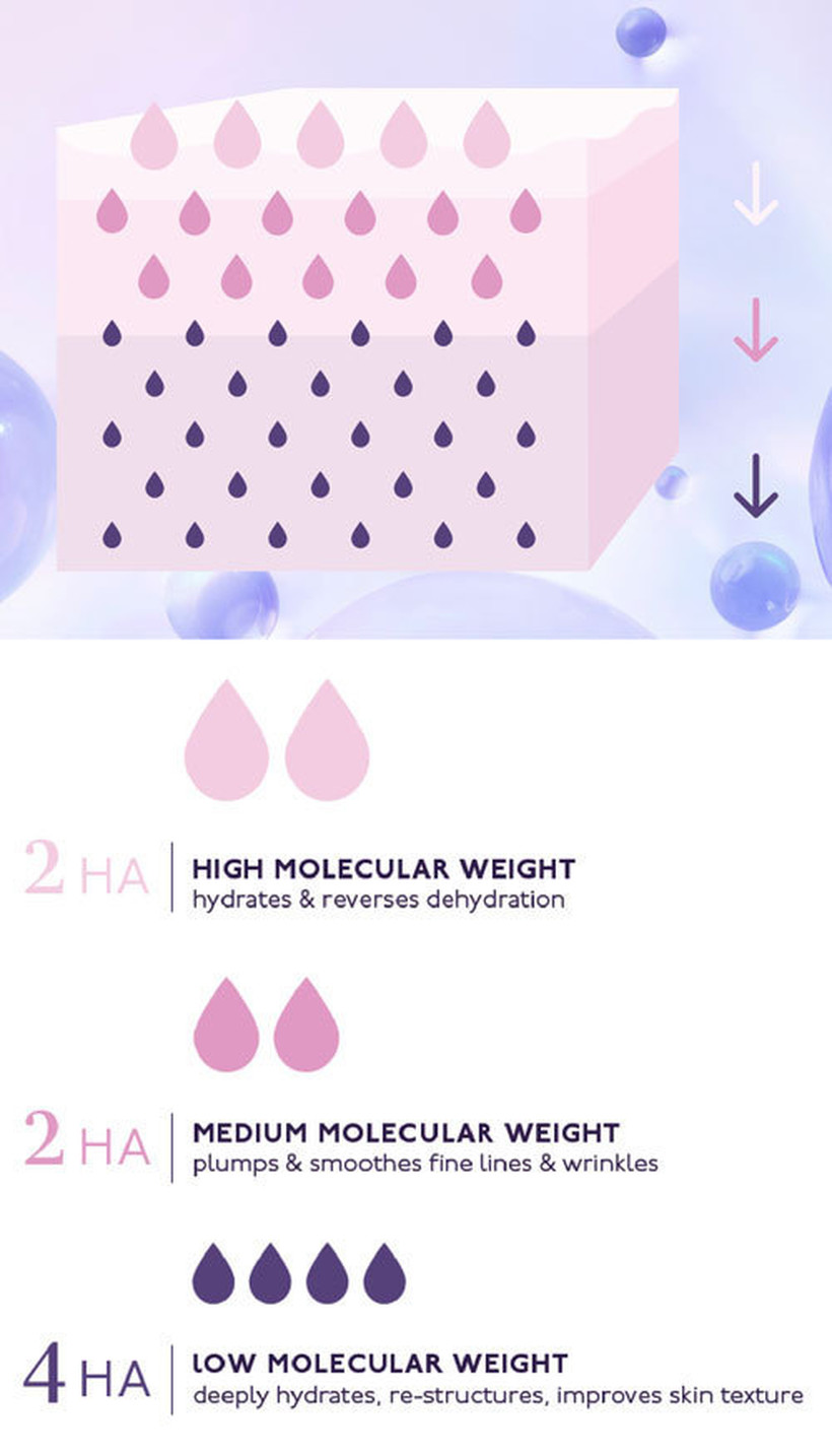 Terrys World molecular weights diagram UK