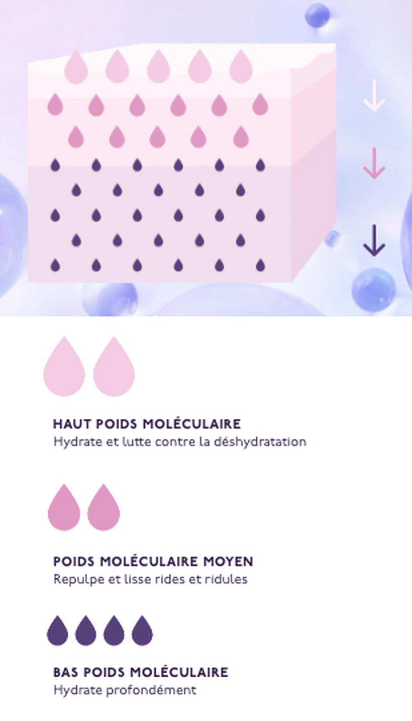 Terrys World molecular weights diagram FR